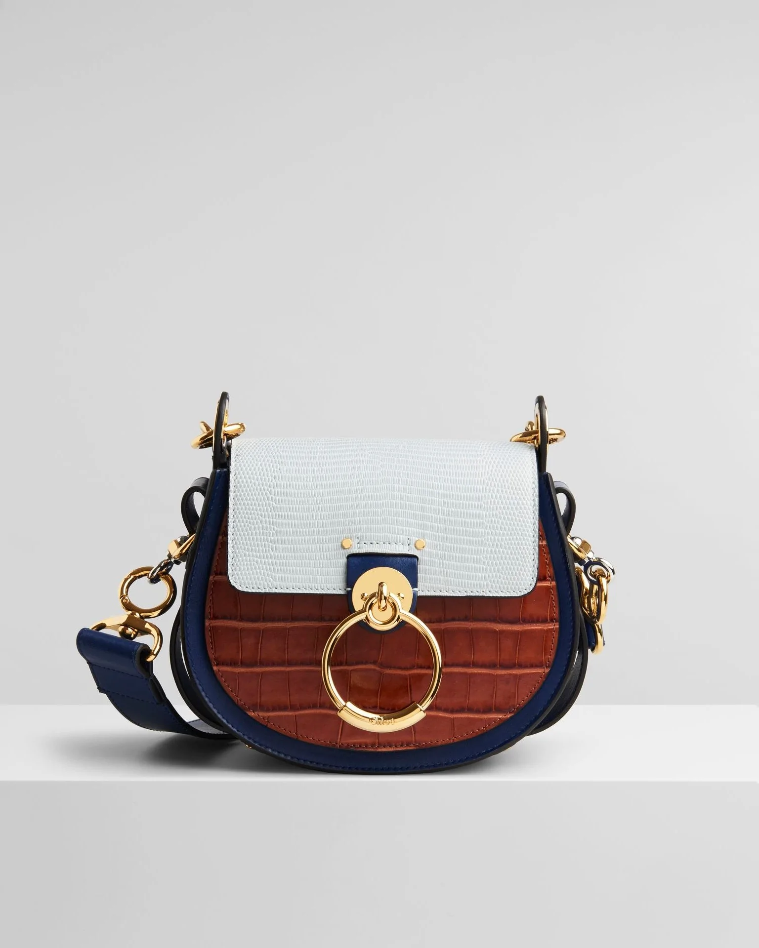 Chloe Tess Small Purse In Embossed Croco & Lizard Effect On Calfskin & Shiny Calfskin