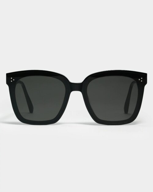 Gentle Monster Dreamer 17 01 Sunglasses