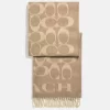 Coach Signature Oversized Muffler. Camel