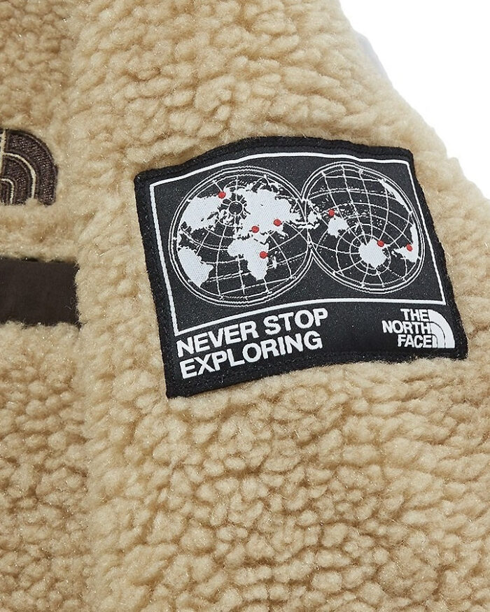 The North Face Kids "Save the Earth" Fleece Hoodie In Camel