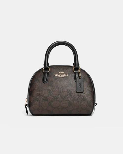 Coach Sydney Satchel In Signature Canvas