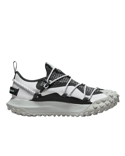 Nike ACG Mountain Fly Low SE Shoes