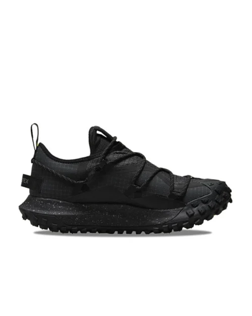 Nike ACG Mountain Fly Low SE Shoes